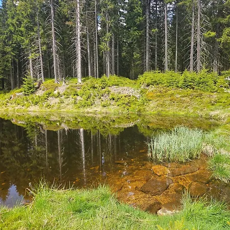 Lejlighed Ole Zlata Olesnice (Jablonec nad Nisou)